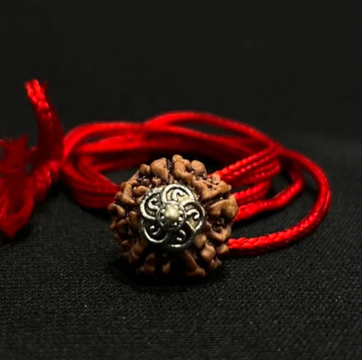 5 Mukhi Rudraksha / Five Faced Rudraksh - Image 2
