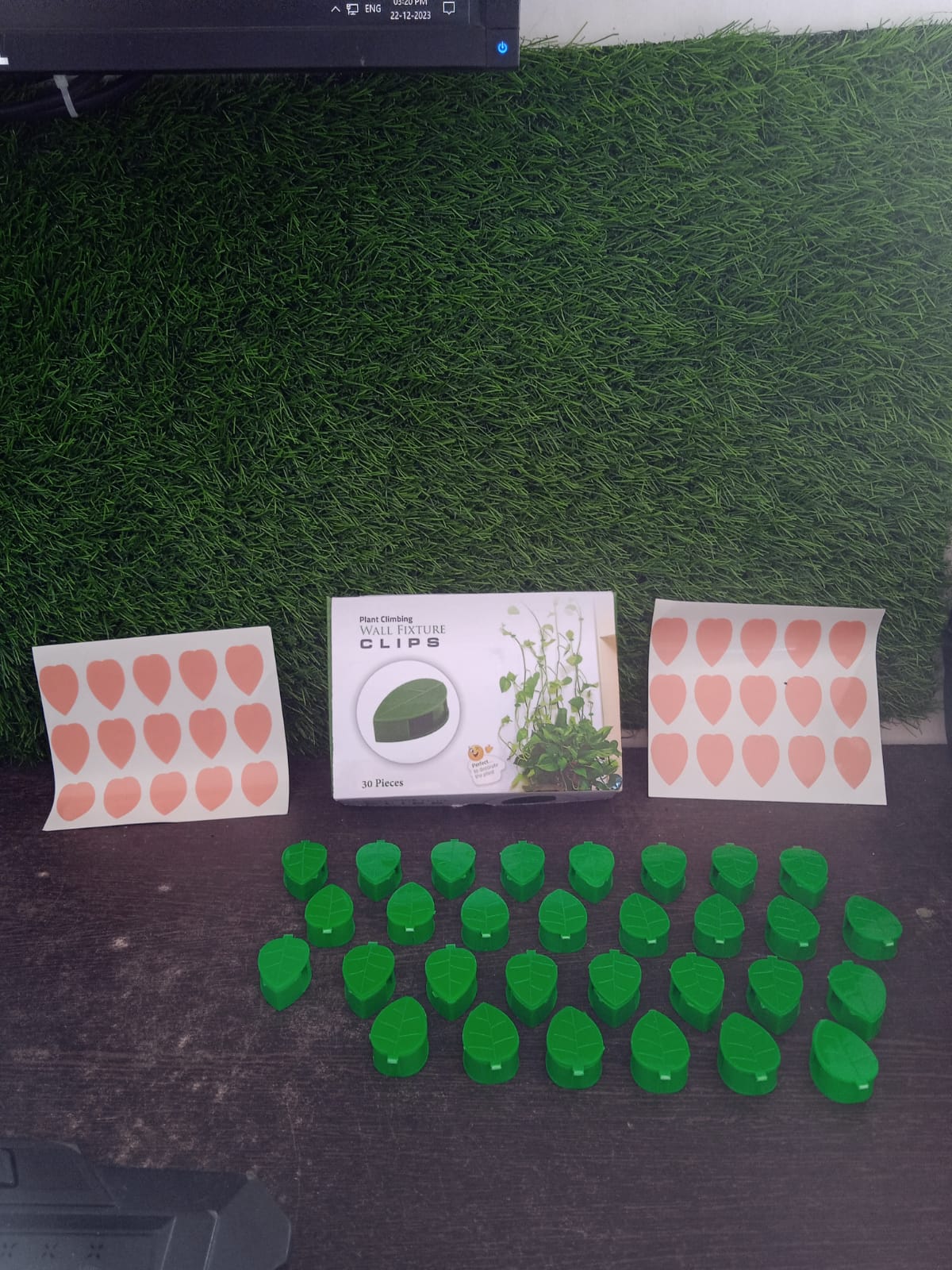 Plant Climbing Wall Fixture Clip (30 Pcs Set) - Image 10