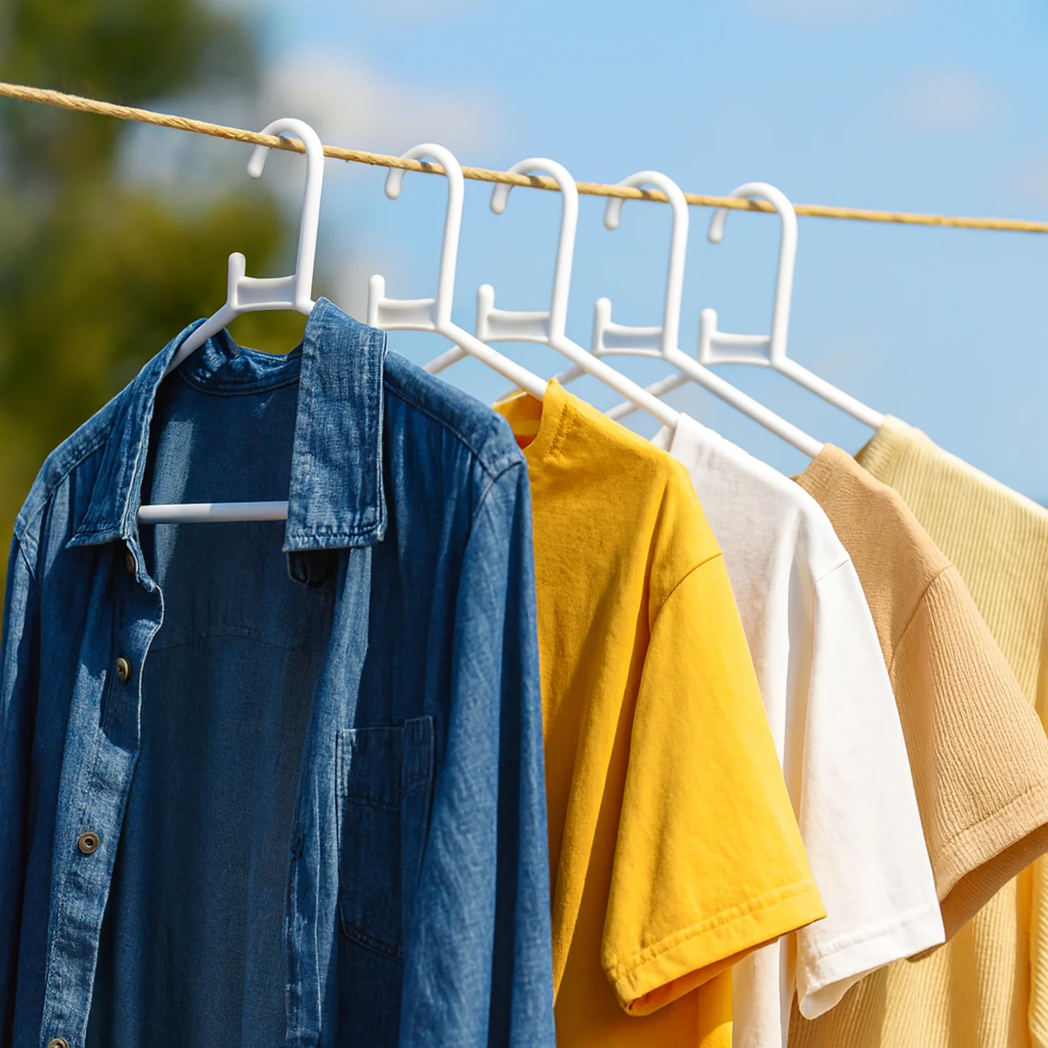 Plastic Clothes Hangers – Set of 6 - Image 7