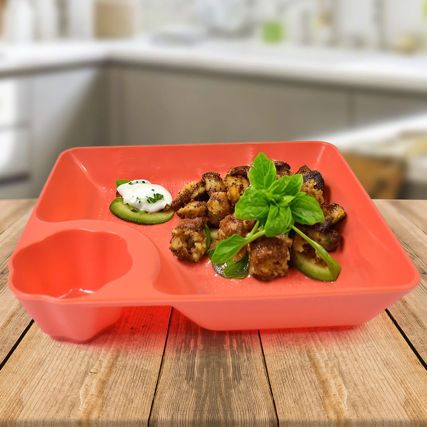 Plastic Plates with Dipping Saucer & Round Dip Part (1 Pc / 18×16 Cm / 1 Pc) - Image 3