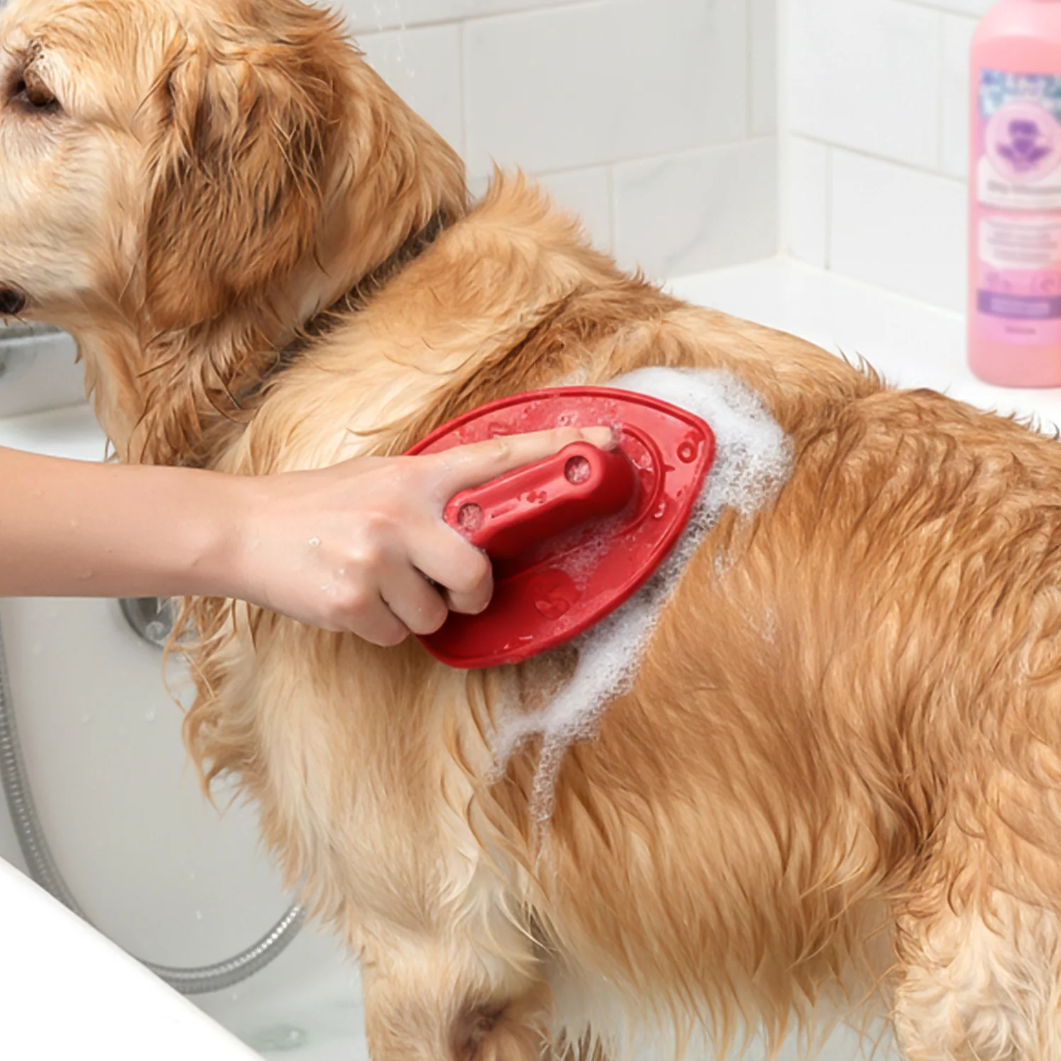 Premium Plastic Pet Bath Brush Soft Grooming Scrubber (1 Pc) - Image 3