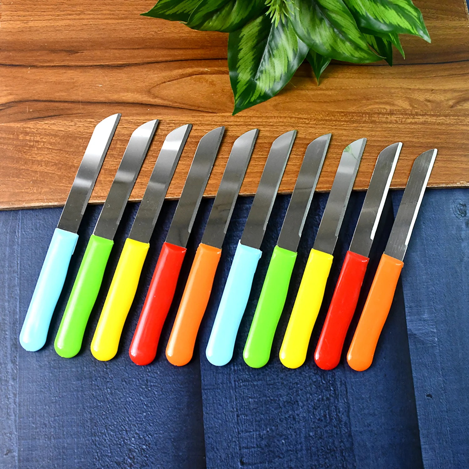 Premium Quality Stainless Steel Handle Plain Knife (10 Pc / 1 Set) - Image 4