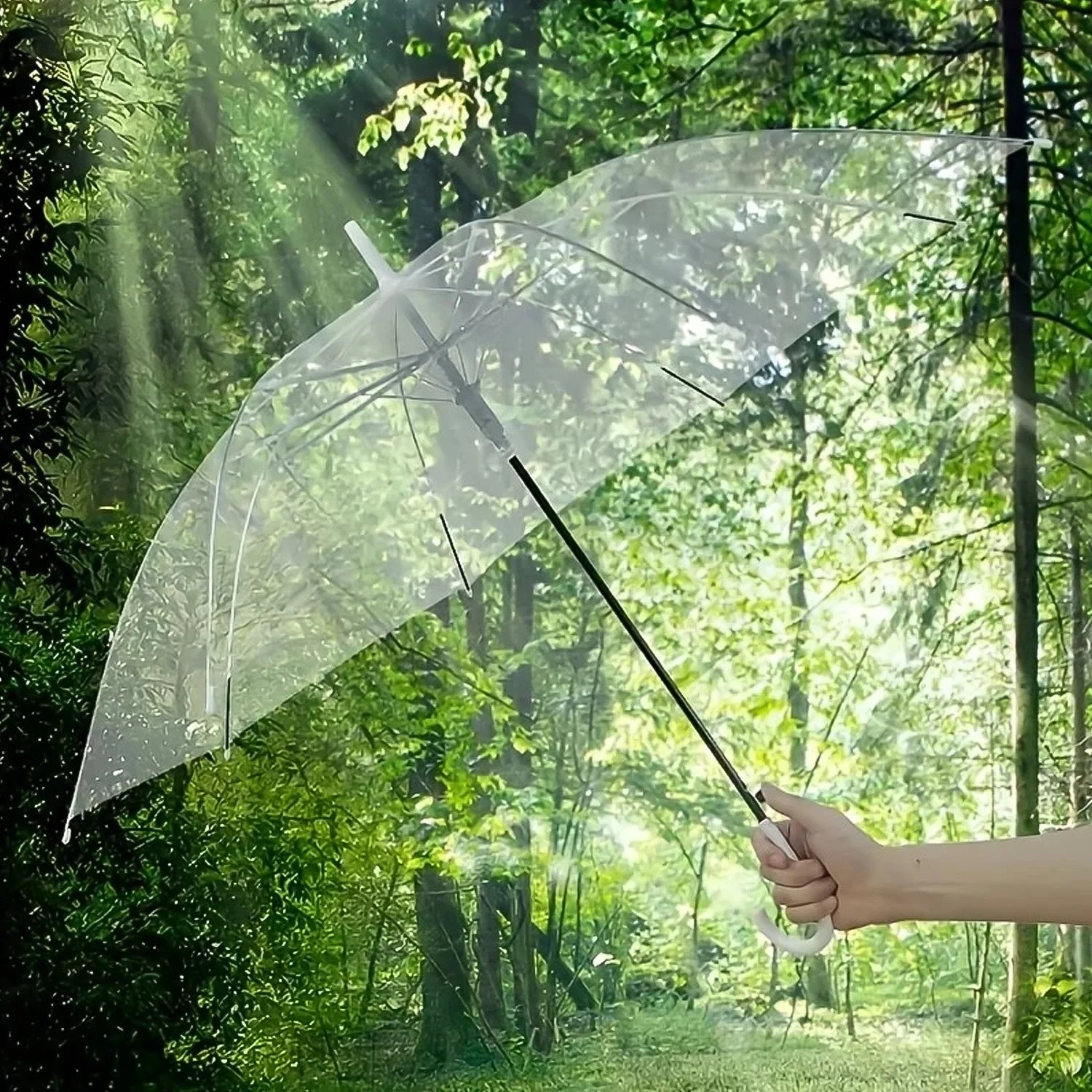 Premium Transparent Dome Umbrella with Curved Handle (1 Pc) - Image 3