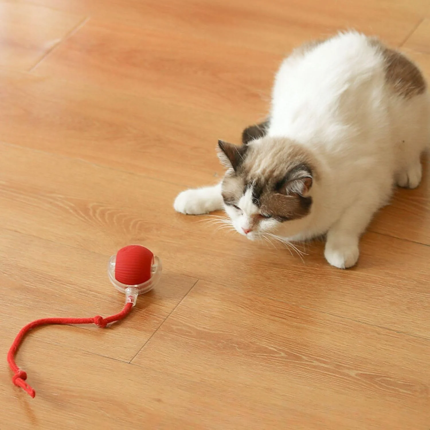 Rechargeable Interactive Cat Toy Ball with Detachable Tail and LED Light (1 Pc) - Image 7