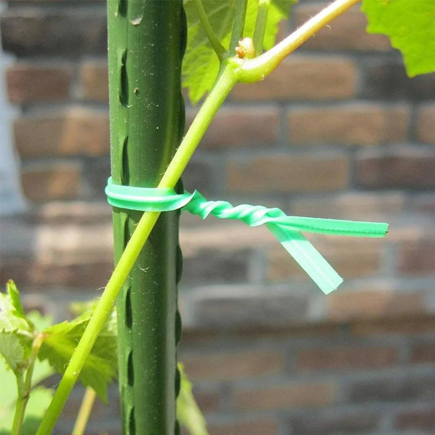 Reusable Green Twist Tie Roll (50 Meter Length) - Image 4