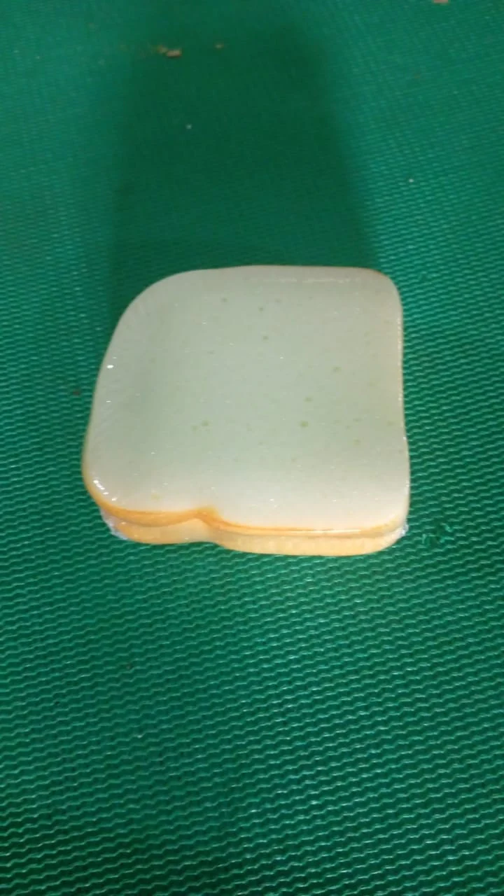 Sandwich Shaped Note / Sticky Notes / Memo Notes, Unique Mini Notes (Multicolor) - Image 11