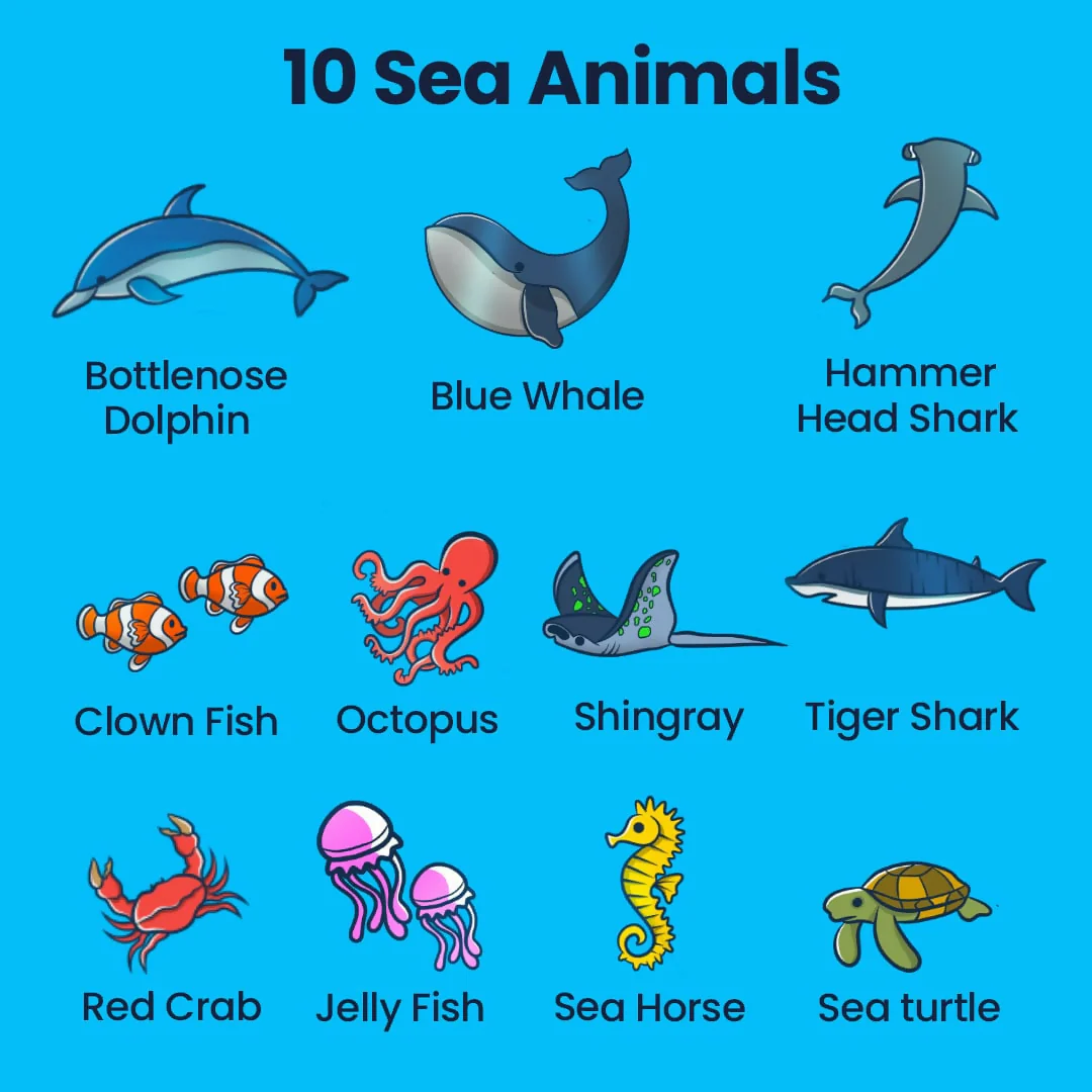 SEA MYSTERY PUZZLE LET'S FIND OUT - AGE 3+ (38 PUZZLE PIECES) MDF PUZZLE SERIES - Image 3