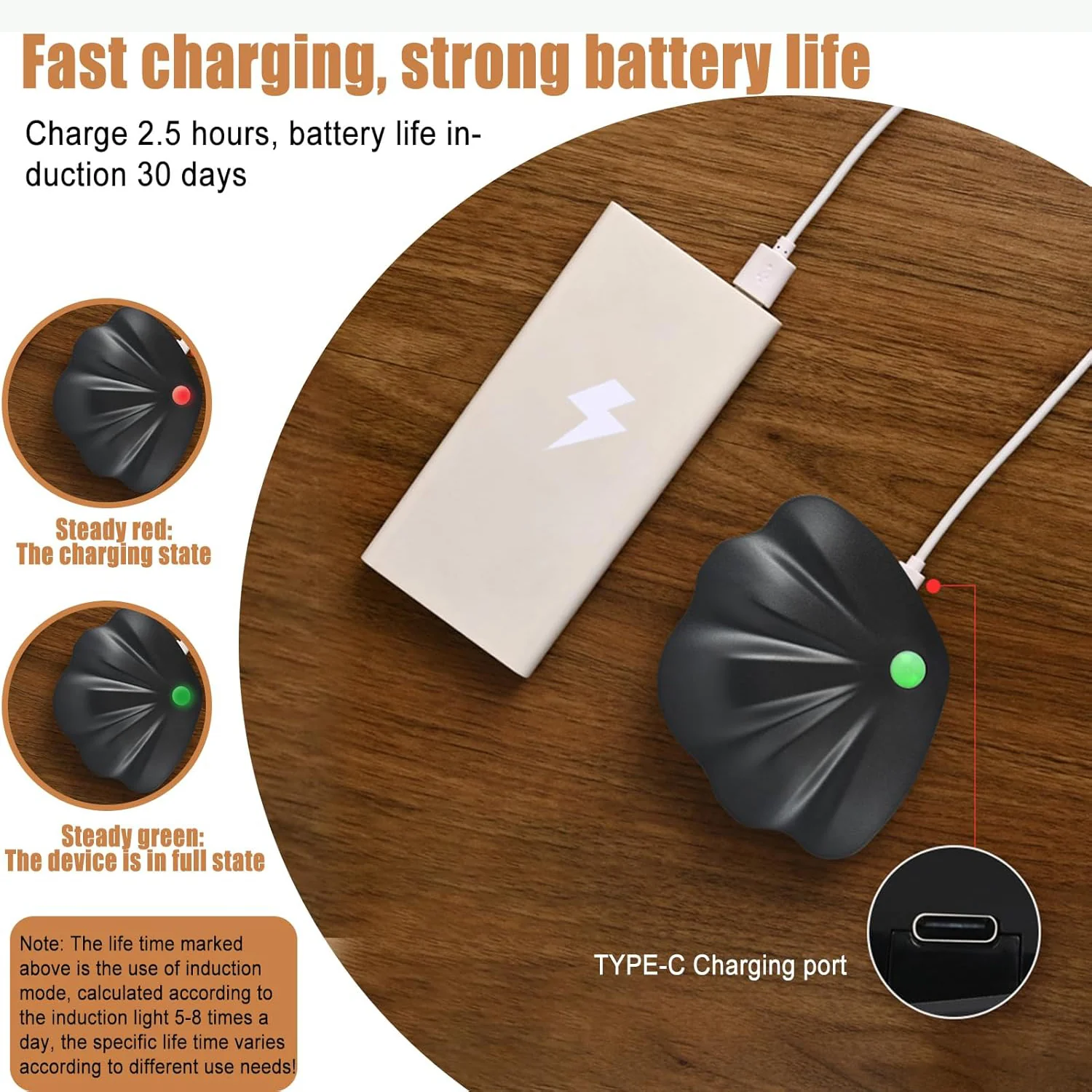 Shell-Shaped Motion Sensor Night Light - Image 4