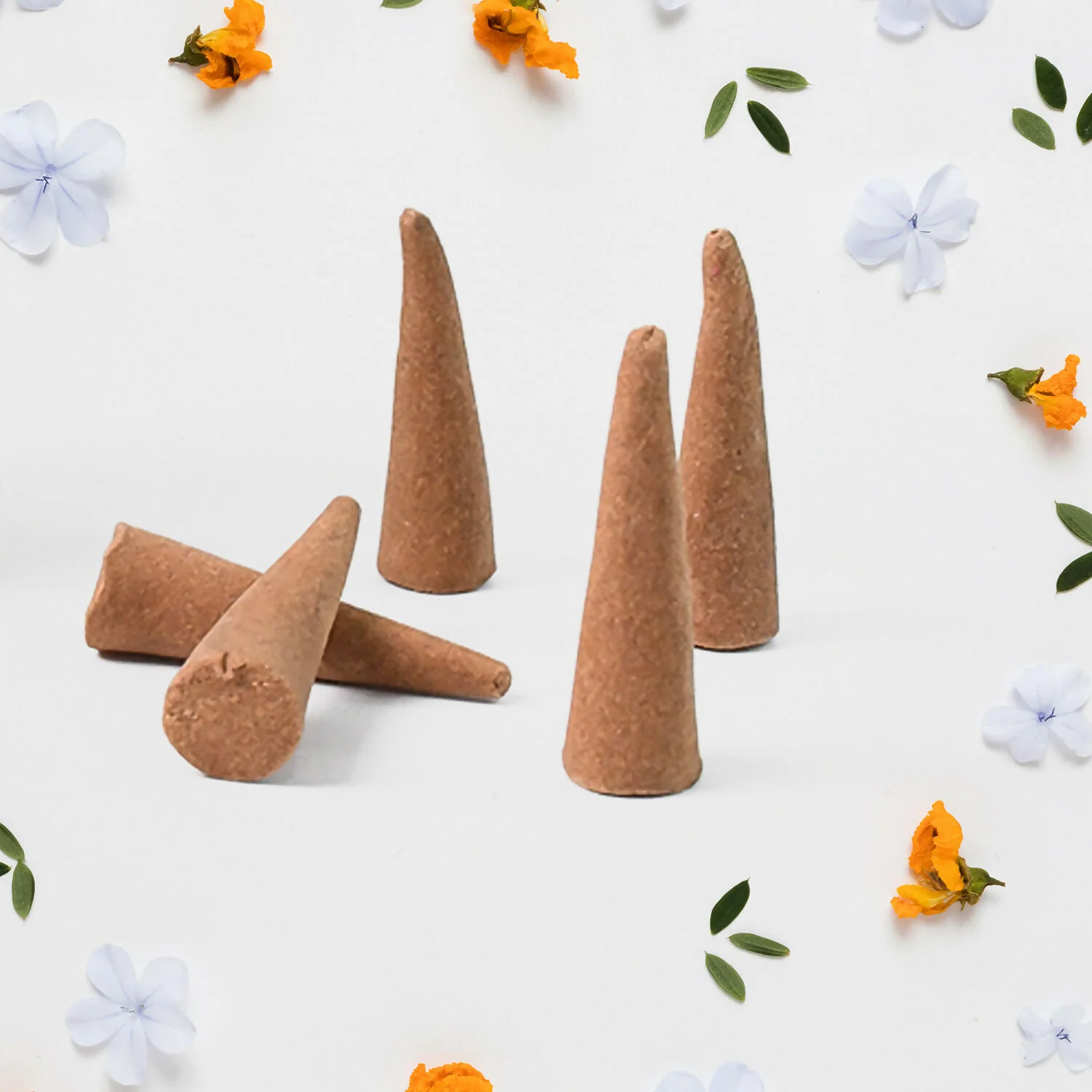 Special Gold Bella Dhoop Cones (1 Jar / 80 Grams) - Image 4