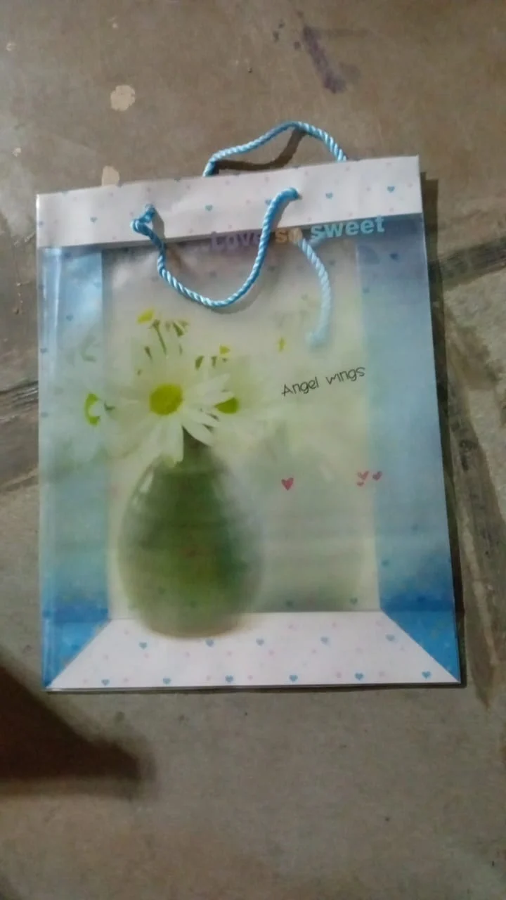 Plastic Transparent Bag With Handle (1 Pc / 34 x 26 Cm) - Image 8