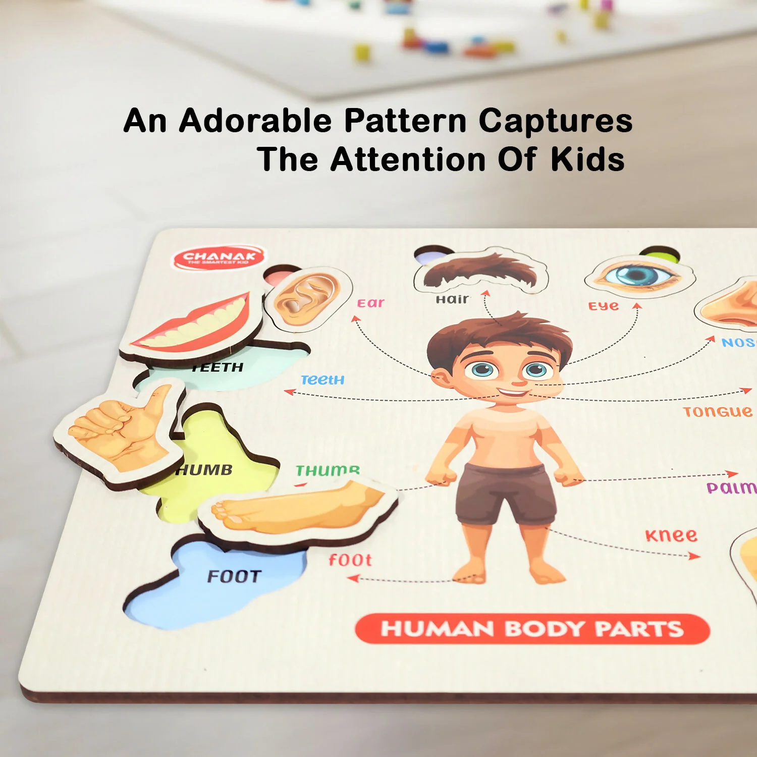 Wooden Human Body Parts Puzzle – Fun Early-Learning Board for Kids - Image 2