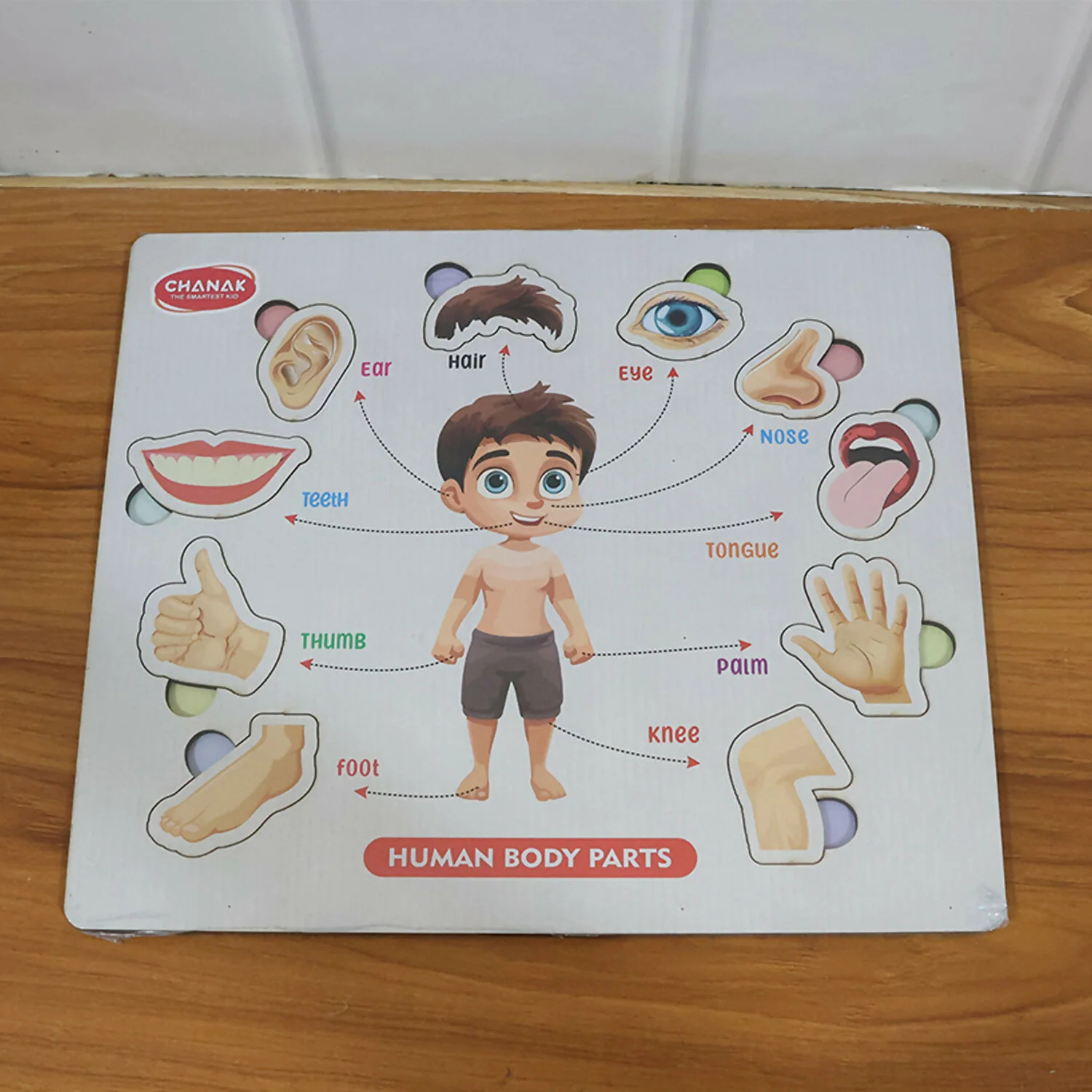 Wooden Human Body Parts Puzzle – Fun Early-Learning Board for Kids - Image 6